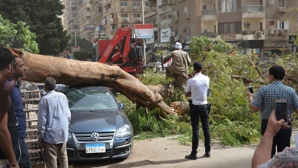 سقوط شجرة بشارع مصدق
