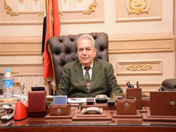 القاضي مجدي أبو العلا رئيس محكمة النقض