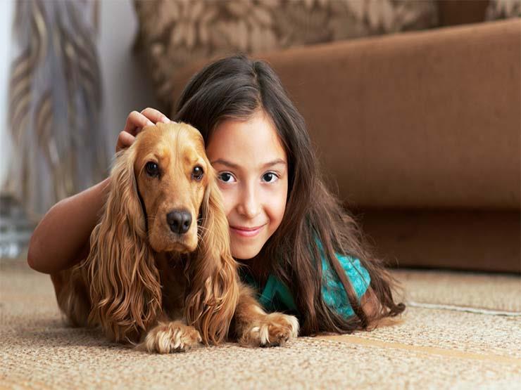  لتربية حيوان أليف في منزلك فوائد نفسية وأضرار جسد