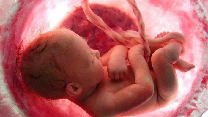 أسباب وراء خطر وفاة الجنين في رحم الأم