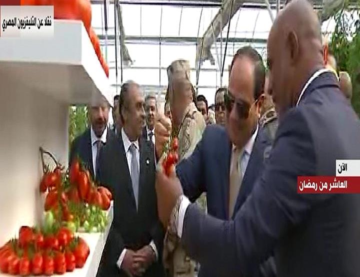 السيسي يوزع طماطم على الوزراء