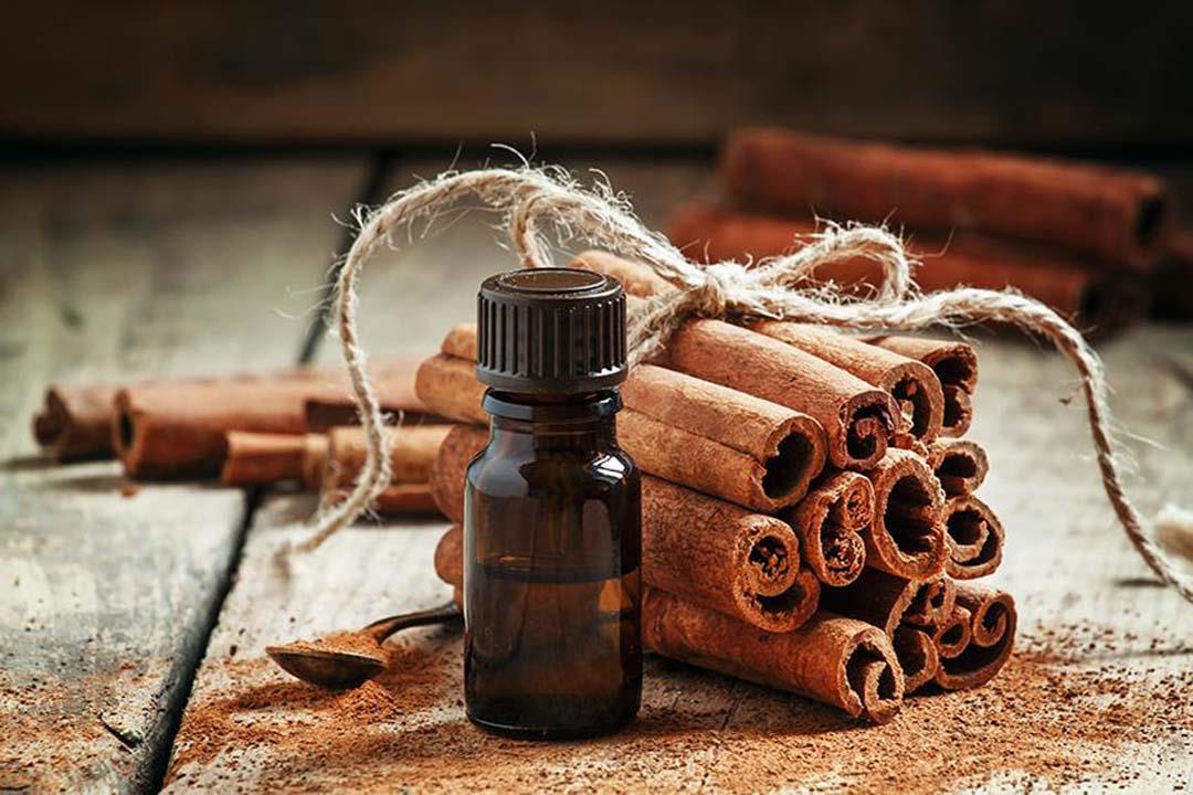 artnaturals_cinnamon_leaf_essential_oil_benefits_and_uses_main-900