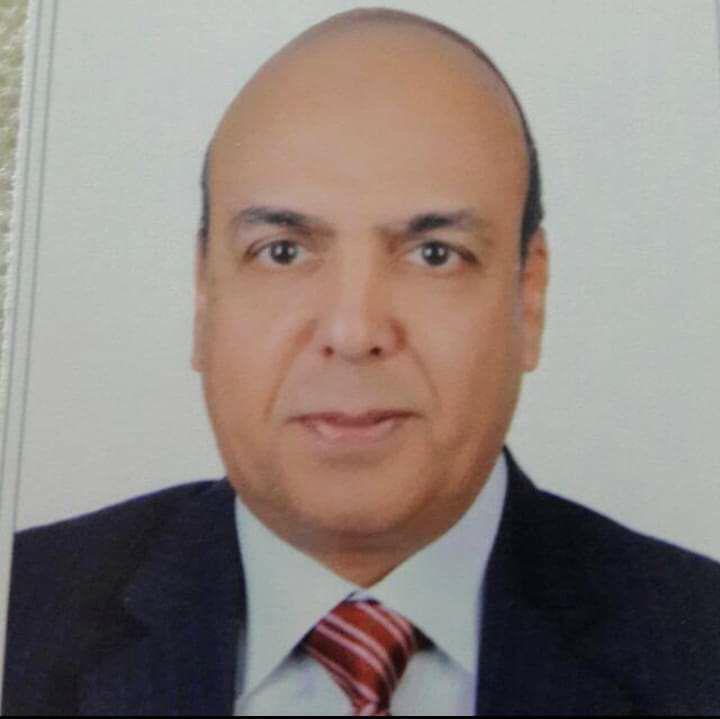 المستشار بدر الدين محمد مجلي 