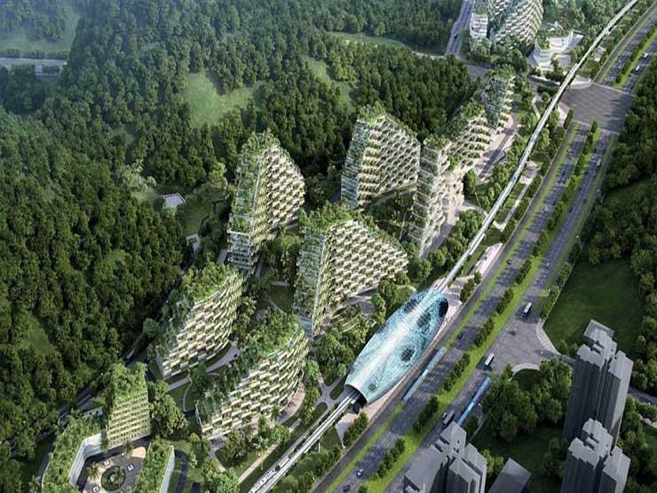 أول مدينة مغطاة بالغابات في الصين 