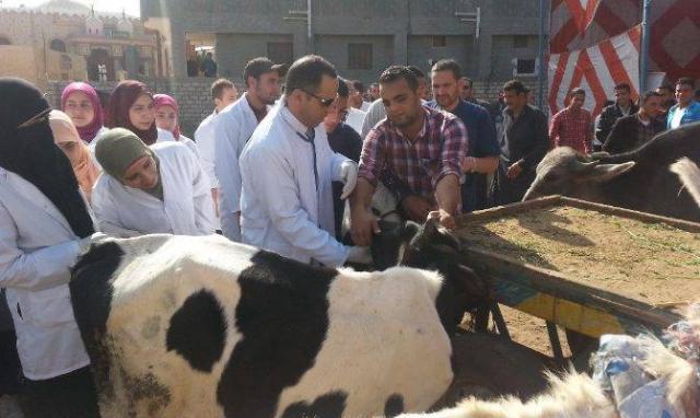  قوافل بيطرية وإرشادية لدعم مزارعي أسيوط