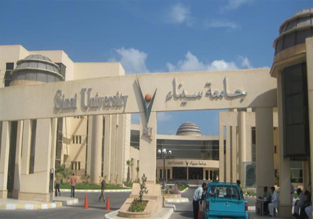 جامعة سيناء