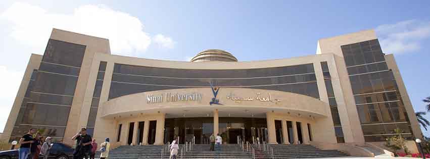 جامعة سيناء                                       