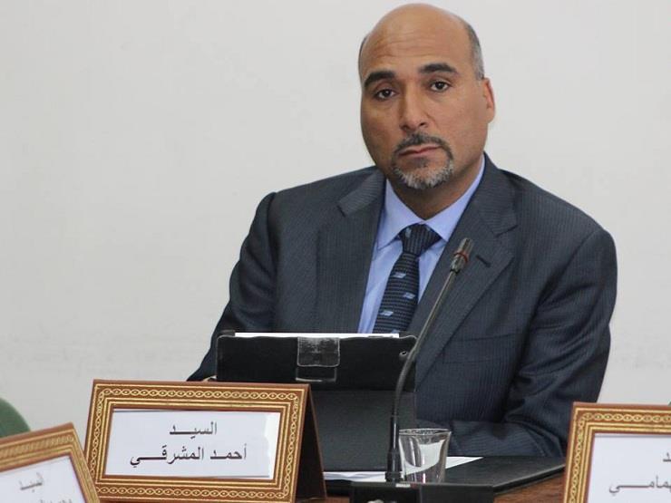 أحمد المشرقي عضو البرلمان التونسى