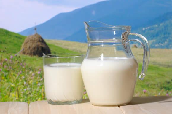  هل يكافح الحليب أمراض القلب والضغط؟