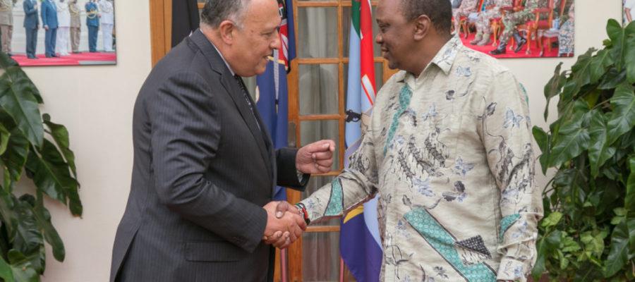 سامح شكري يلتقي الرئيس الكيني