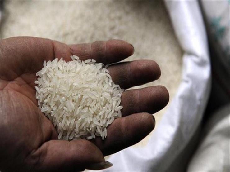 الحكومة خفضت مساحة زراعة الأرز إلى 724 ألف فدان