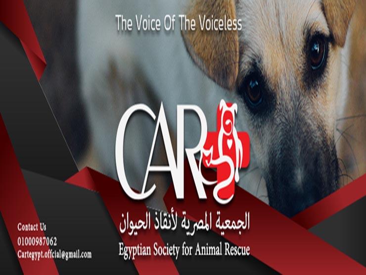 الجمعية المصرية لأنقاذ الحيوان