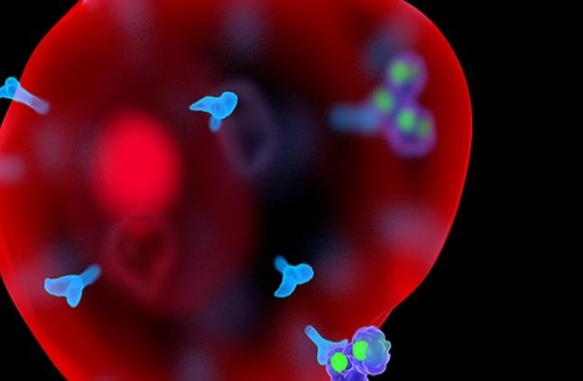 اكتشاف أحماض نووية تساعد على تكاثر الخلايا السرطان
