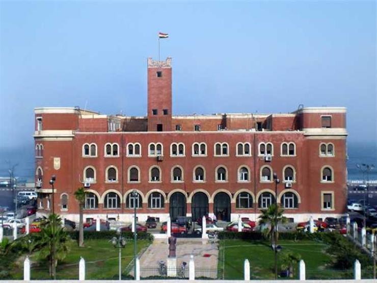 جامعة الإسكندرية