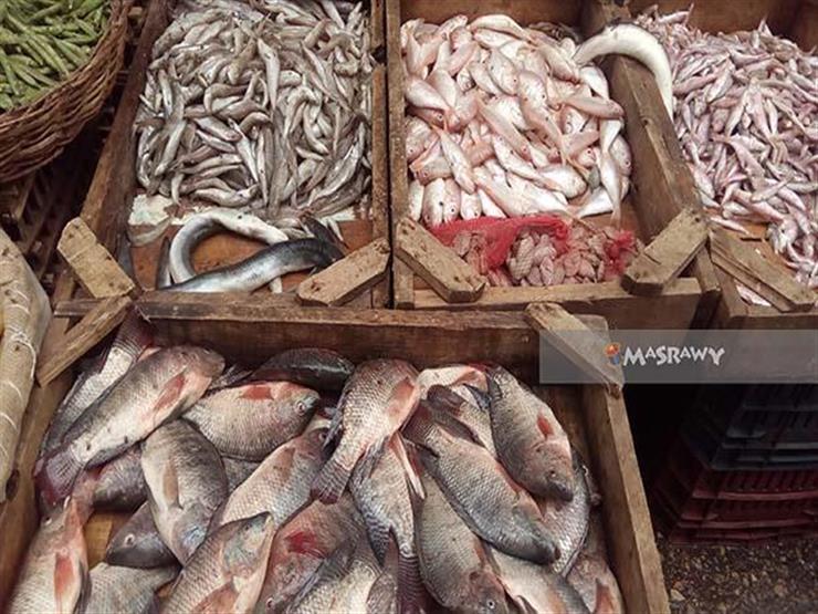 صورة أرشيفية لسوق سمك