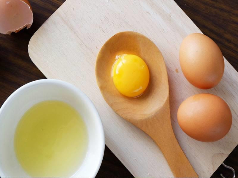   دراسة: تناول البيض يوميًا يؤثر على مخاطر الإصابة