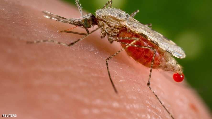 مكافحة  الملاريا