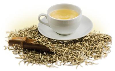 الشاي الأبيض.. تعرف على فوائده الصحية المذهلة