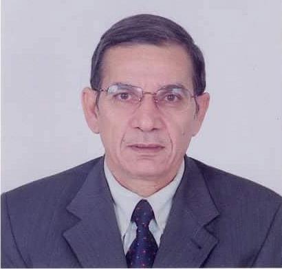 الدكتور محمد مجاهد نائب وزير التربية والتعليم
