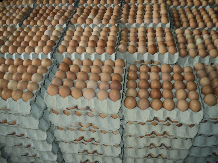 صورة أرشيفية لأطباق من البيض 