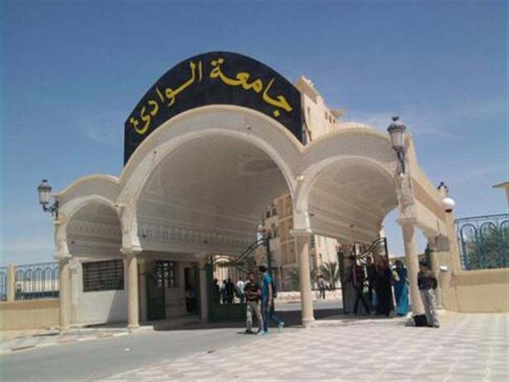 جامعة جنوب الوادي