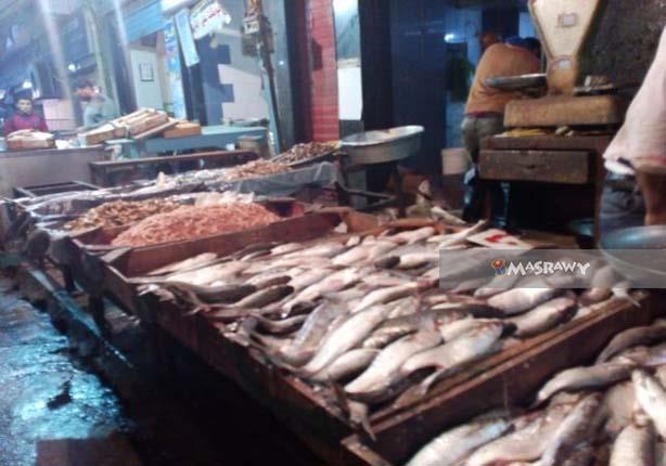 أسعار الأسماك