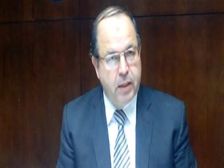 الدكتور نصيف الحفناوي وكيل وزارة الصحة