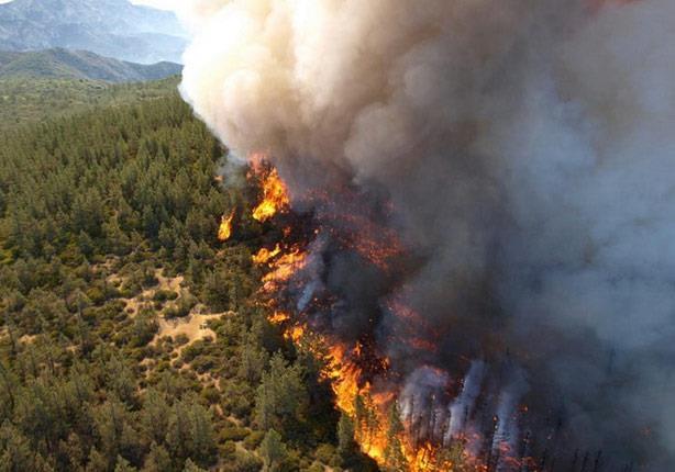 حرائق غابات كاليفورنيا - أرشيفية                  