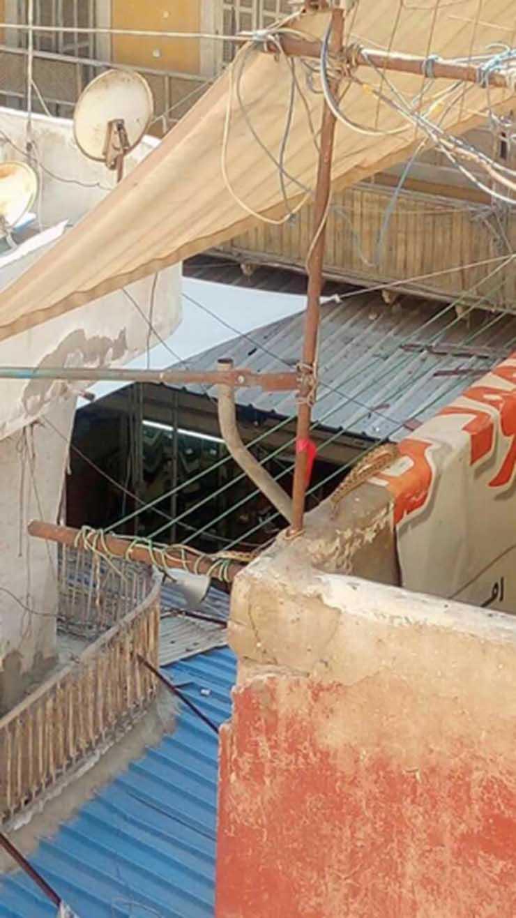 ظهور ثعبان بحي العرب في بورسعيد (1)