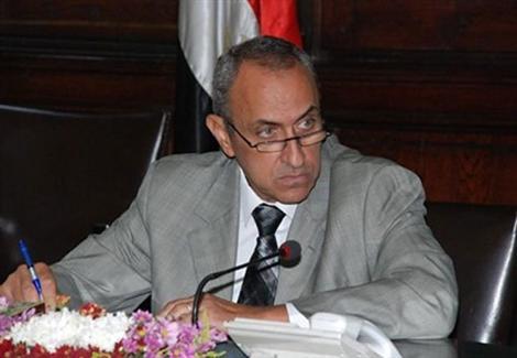 الدكتور أيمن فريد أبو حديد وزير الزراعة الأسبق