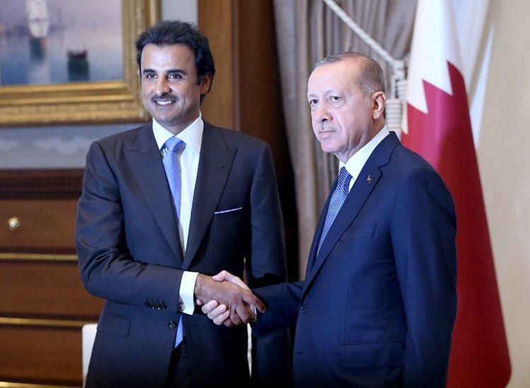 أردوغان وتميم