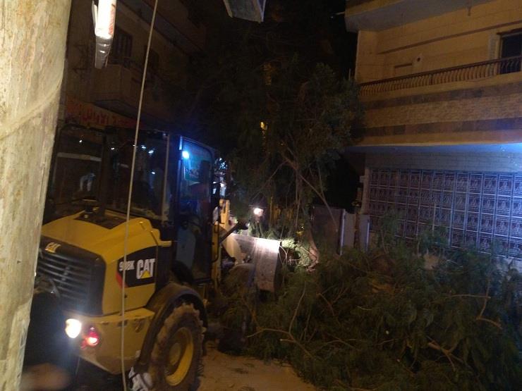 اجهزة مجلس مدينة الفيوم تقوم برفع أثار الشجرة التى