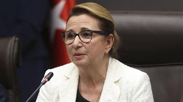 وزيرة التجارة التركية روهصار بكجان