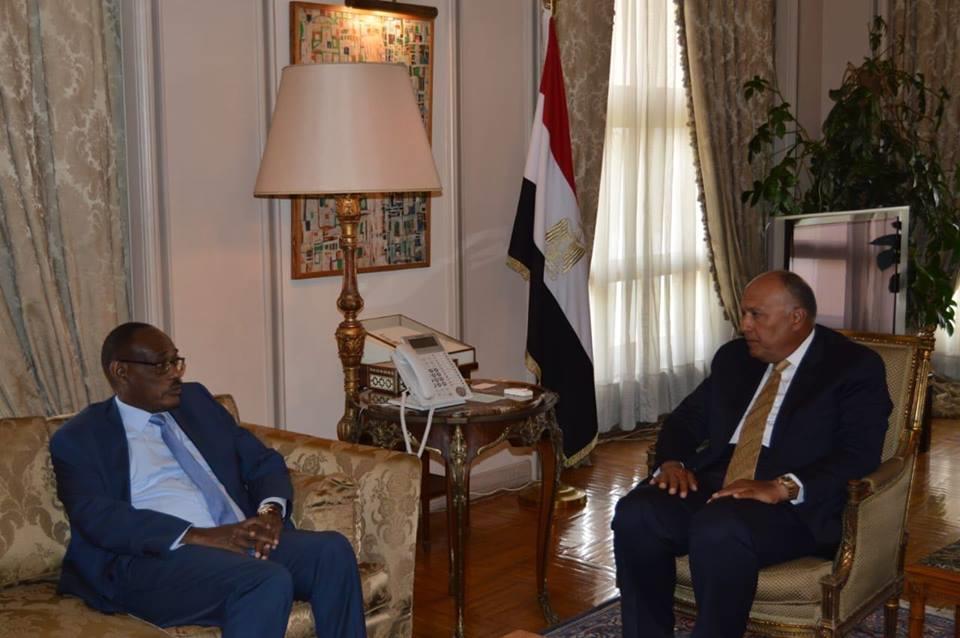 شكري يلتقي وزير الخارجية السوداني