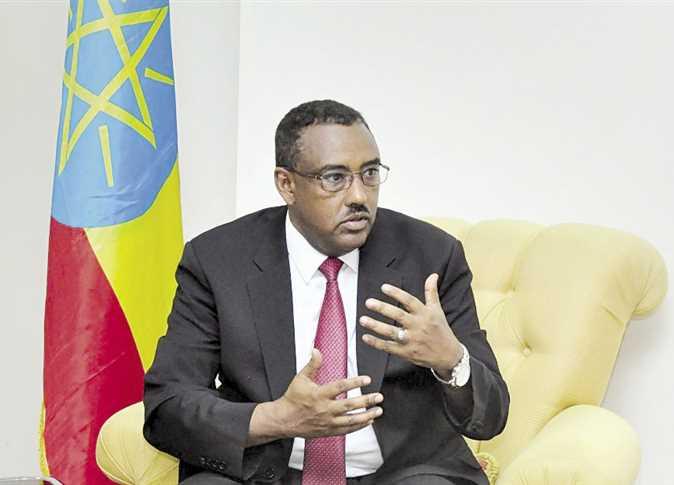 نائب رئيس الوزراء الإثيوبي ديميك ميكونن