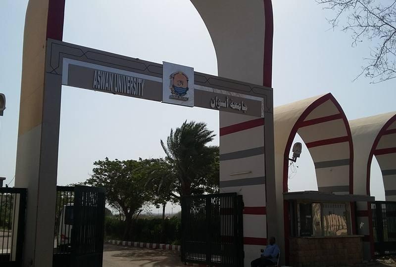 جامعة أسوان