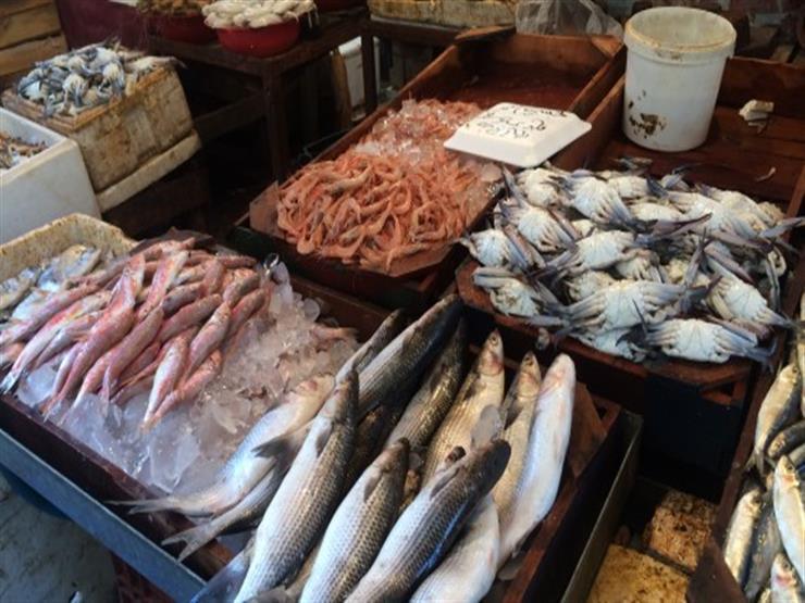 أسعار السمك في سوق العبور - أرشيفية               