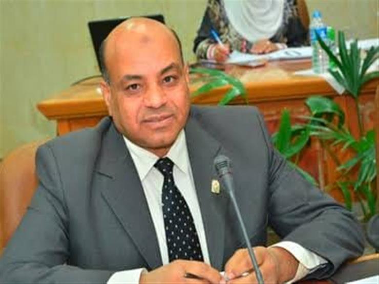 رئيس جامعة الوادي الجديد الدكتور عاطف أبوالوفا