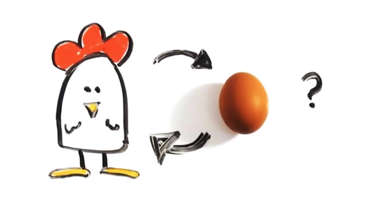 البيضة أولا أم الدجاجة؟ العلم يجيب