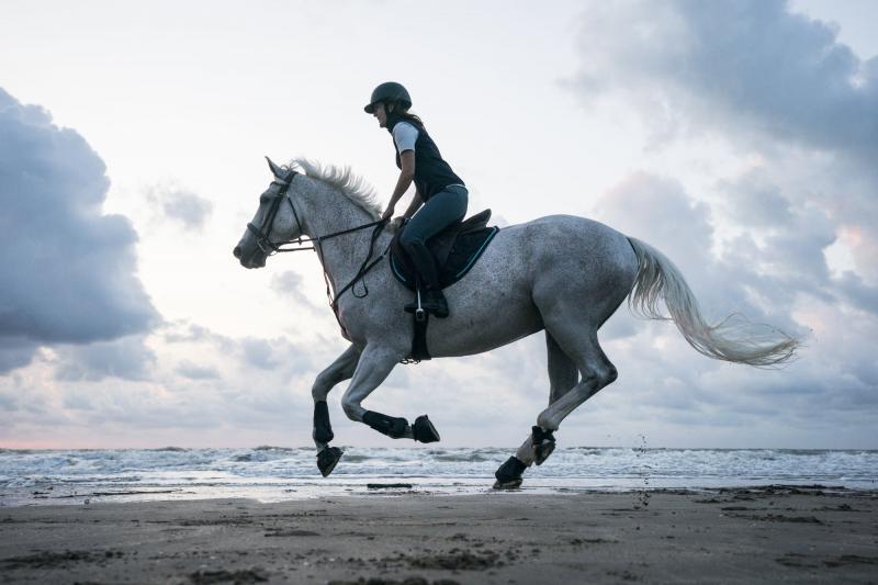 لعشاق ركوب الخيل.. إليك أشهر وجهات السفر العالمية 