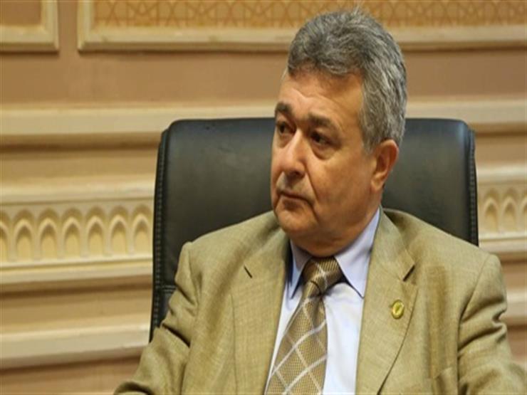 النائب عمرو صدقي رئيس لجنة السياحة والطيران