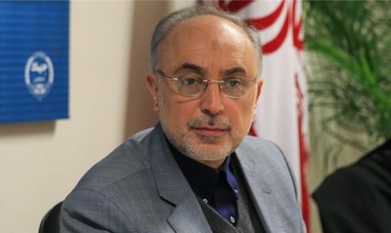 رئيس وكالة الطاقة الذرية الإيرانية علي أكبر صالحي