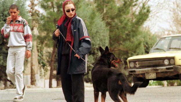 في إيران، يُنظر إلى الكلاب على أنها رمز للثقافة ال