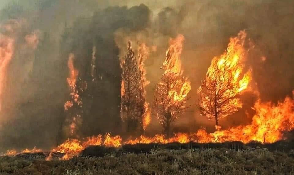 لبنان يحترق 