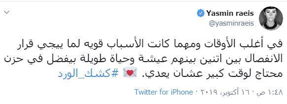 ياسمين رئيس (3)