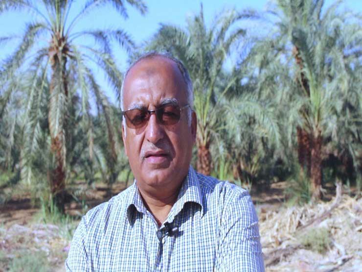 محسن عبد المنعم مدير الهيئة المصرية العامة لتنشيط 