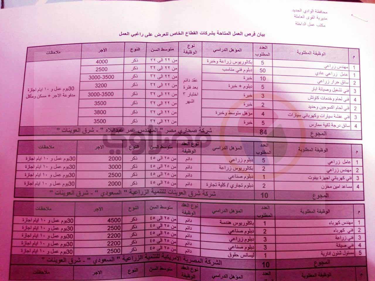 القوي العاملة تعلن عن 189 فرصة عمل في الوادي الجديد  (1)