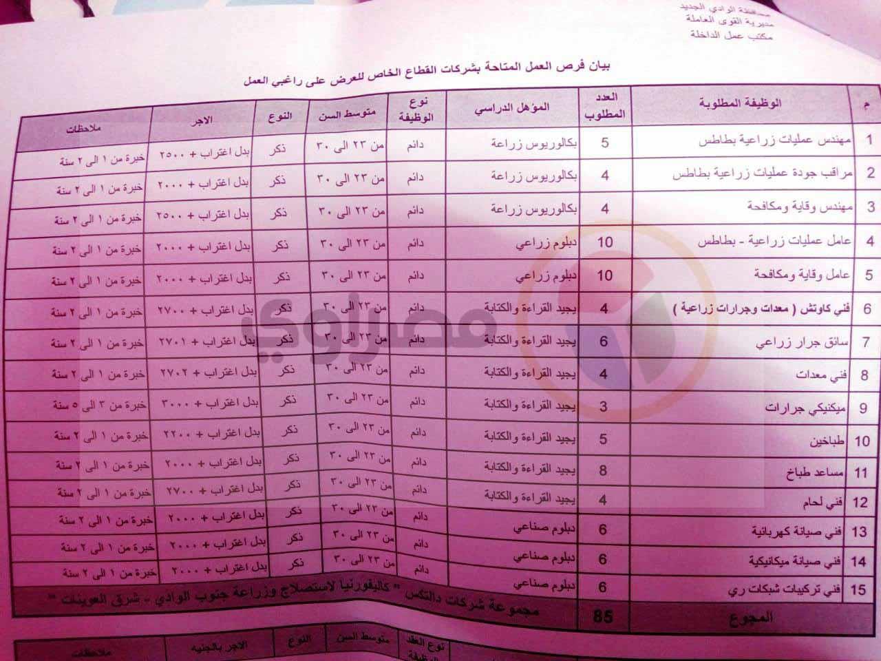 القوي العاملة تعلن عن 189 فرصة عمل في الوادي الجديد  (2)