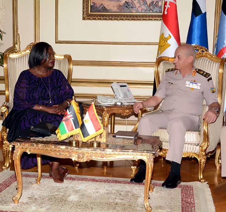 وزيرا دفاع مصر وكينيا يبحثان دعم التعاون العسكري