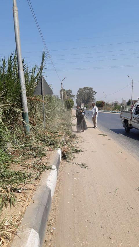 رفع المخلفات من شوارع مغاغة بالمنيا